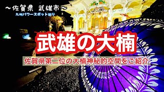 ～佐賀県 武雄市～『武雄の大楠』佐賀県 第二位 武雄神社の御神木