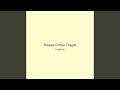 Breeze Ember Fragile