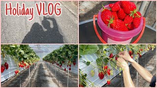 【VLOG 】年に1回のいちご狩りに行ってきた