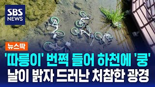 '따릉이' 번쩍 들더니 하천에 '쿵'…2분간 12대 던졌다 / SBS / 뉴스딱