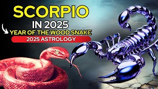 What 2025 Holds for SCORPIO in the Year of the Wood Snake 🐍♏️ 🌟 2025 Astrology Prediction