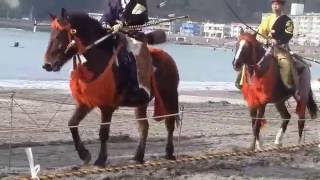 ★５第25回逗子海岸の勇壮な流鏑馬（やぶさめ）神事（11/20)ー正装した武田流の射手の騎馬が疾走し「奉射」「競射」で見事にマトを射る