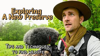 Exploring a New Preserve | How I Find Wildlife to Photograph With Tips and Techniques