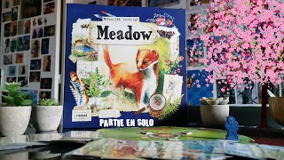 Meadow en solo (petite promenade dans la nature)