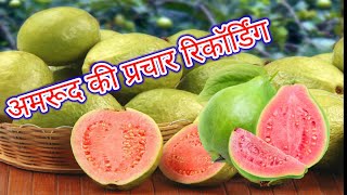 अमरूद की प्रचार रिकॉर्डिंग। Amrood ka prachar