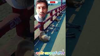 খুবই চমৎকার এবং গুরুত্বপূর্ণ হাদিস #amazing #viralvideo #trending #dog #animals #doglover