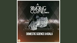 A Singing Comet (Dave Platts Remix)