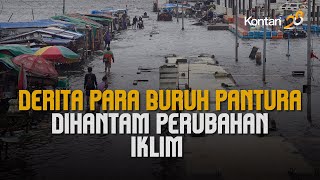 Derita Para Buruh Pantura Dihantam Perubahan Iklim: Jakarta