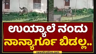 Funny Monkey : ಉಯ್ಯಾಲೆ ತೂಗುತ್ತಾ ಮಜಾ ತಗೊಂಡ ಮಂಗ | Gadag | NewsFirst Kannada