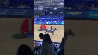 Dominik Fuhrer - Switzerland｜The Longines Hong Kong International Horse Show香港國際馬術盛典｜亞洲博覽館