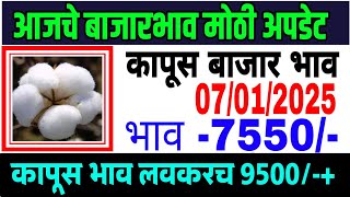 आजचे कापसाचे भाव वाढले 07 जानेवारी 2025 || कापुस बाजार भाव वाढले| Cotton Market Rate | Kapus Bazar