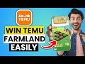 How To Win Temu Farmland (Quick & Easy) - 2024