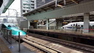 【レア光景】単独H5系はやぶさ 東京駅に到着