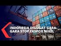 Kebijakan Indonesia Stop Ekspor Nikel, Apa Sanksi dari WTO?