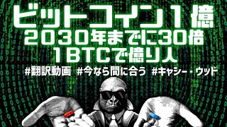 2030年までにビットコインが30倍になる！?1BTC持ってたら億万長者！?一枚握ったら人生あがり！