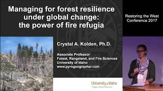 Managing for Forest Resilience under Global Change: the Power of Fire Refugia (RTW 2017)