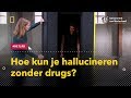 Hoe kun je hallucineren zonder drugs? | Het LAB #8