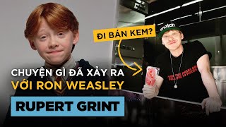 RON WEASLEY của Harry Potter Biến Đâu Mất Rồi?