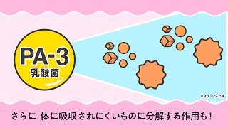 明治プロビオヨーグルトPA-3「会食のお誘い」篇 動画広告