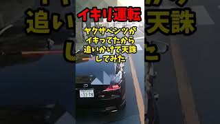 【イキリすぎ】クソ生意気なヤクザベンツがイキってたから追いかけて金属バットで滅多打ち！！