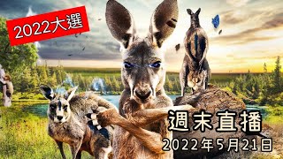 【週末直播】2022年5月21日｜2022大選日｜開放Q\u0026A