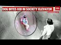 Pet Dog Bites Kid In Ghaziabad's Residential Society Elevator, Owner Remains Unfazed | WATCH