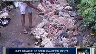 Saksi: Lalaking may taning ang buhay, tinupad ang pangakong pakasalan ang kasintahan