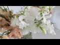 Flower Review for Japanese Sweet Peas