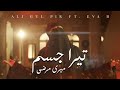 Tera Jism Meri Marzi - Ali Gul Pir Ft. Eva B