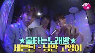 [M2]☆Burning Karaoke☆SEVENTEEN_낭만고양이