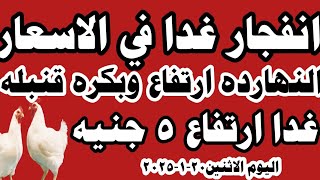 اسعار الفراخ البيضاء سعر الفراخ البيضاء اليوم الاثنين ٢٠-١-٢٠٢٥ جملة وقطاعي في المحلات في مصر