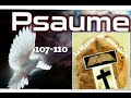 PSAUMES 107-110 [LA BIBLE LOUIS SEGOND 1910]
