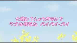 シル・ヴ・プレジデント/さとみ様(歌詞動画)