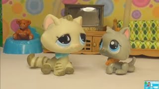 LPS фильм МАЧЕХА