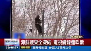 零下31.4度 黑龍江降大雪