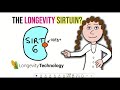 The longevity sirtuin – what you need to know about SIRT6