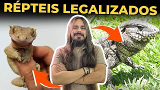 🔴TODOS OS RÉPTEIS LEGALIZADOS NO BRASIL | BICHOS DO LINCOLN. |