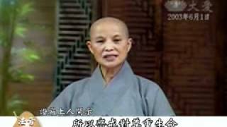 【法音宣流】馬國齋戒月 九年共善業（護生篇）