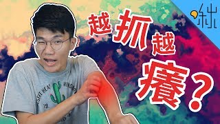 為什麼有時候抓癢會越抓越癢? | 超邊緣冷知識 第65集 | 啾啾鞋