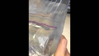 Leaking Bag Evidence