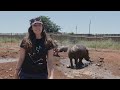 Celebrating 10 Years of Helping Rhinos