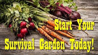 10 Plants you can Grow in cold weather ~ Survival Garden