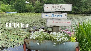 新緑が気持ちいい森にあるガーデンをお散歩すると最高に癒される！沢山の宿根草を組合わせたガーデンスタイルで初夏の庭づくりのヒント満載 | SIKIガーデン |  園芸/観葉植物店巡り | 兵庫/神戸