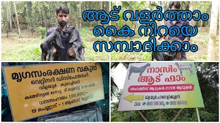 മികച്ച ഒരു ആട് കർഷകനാകണോ | ഗവൺമെൻ്റിൽ നിന്നുള്ള സബ്സിടറി എങ്ങനെ ലഭ്യമാക്കാം | NASIM GOAT FARM