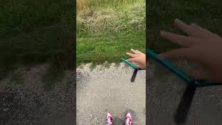 Casual flipps #balisong #knifeskills #squidindustries #asmr #shorts