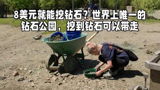 8美元就能挖钻石？世界上唯一的钻石公园，挖到钻石可以带走