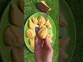 #shorts Jackfruit Juice Recipe #shortvideo #youtubeshorts #food #recipe #jackfruit #juice #fruit #yt