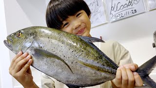 【苦戦】8歳のお魚大好き少年がカスミアジに挑む！美しいお刺身作り