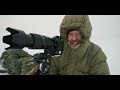 reindeer in rough weather wildlife photography on svalbard