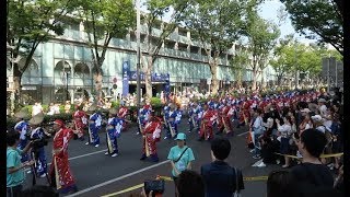 2018.8.25.    明治神宮奉納 原宿表参道元氣祭 スーパーよさこい2019   表参道アベニュー演舞(4)  ~国士無双、十人十彩、帯屋町筋~